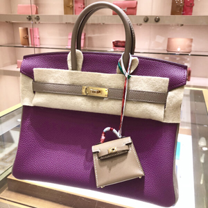 2020 Special Order エルメス バーキン25【SAC Birkin 25"AnemonexGris Asp"】